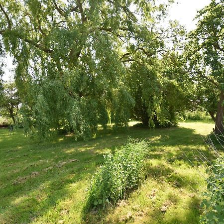 Spacious Holiday Home In Hornstorf With Trampoline Eksteriør billede